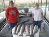 (09/26/2014) - Nice Striped Bass